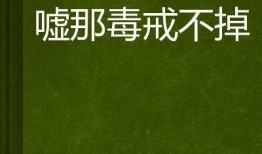 在线观看毒戒,揭示网络成瘾的黑暗面