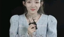 辛巴母亲爆料视频播放全集,家庭矛盾与真相大白